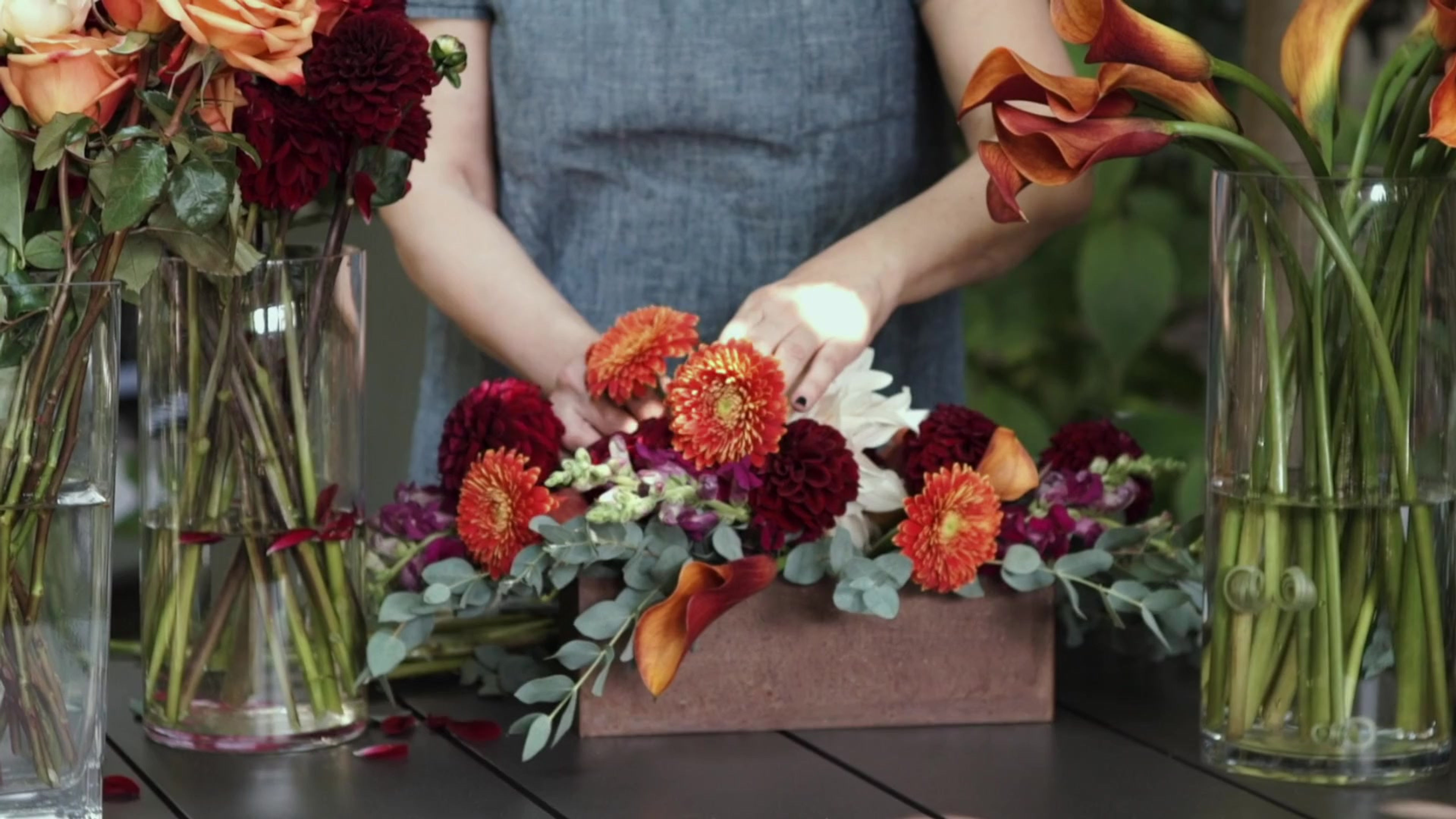 Mindy Rosenberg Design Brand Video